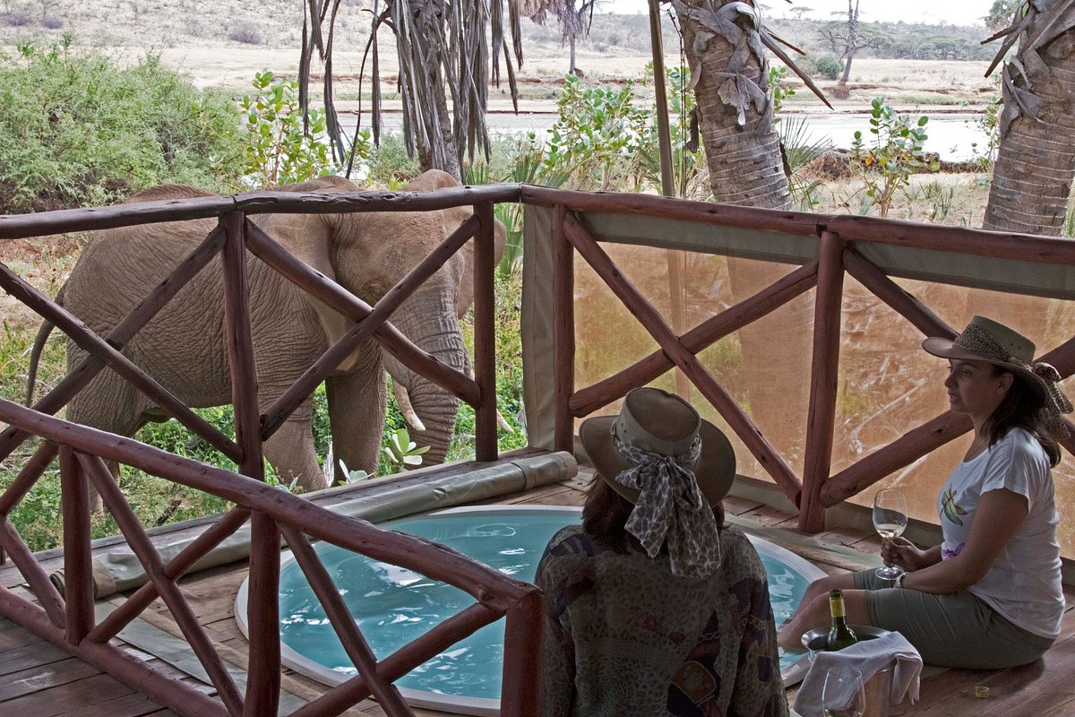 Elephant Bedroom Camp image 2