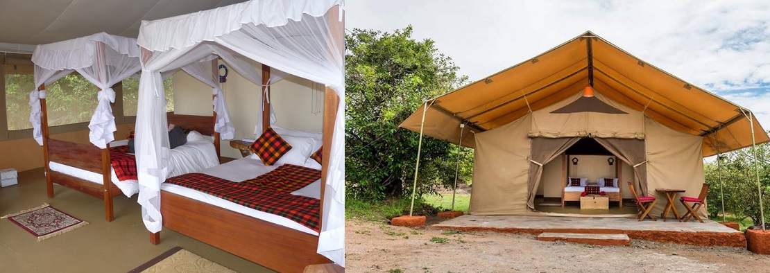 Enkorok Mara Camp image 2