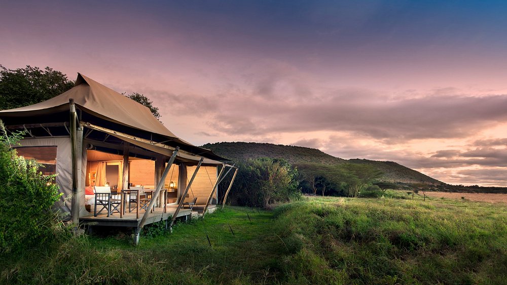 Kichwa Tembo Tented Camp image 1