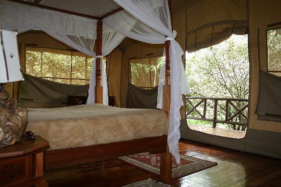 Mara Leisure Camp image 2