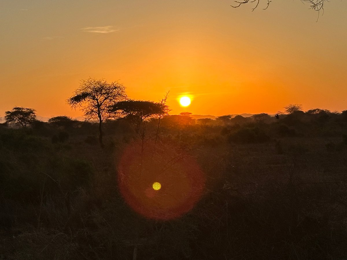 Nyati safari camp image 2