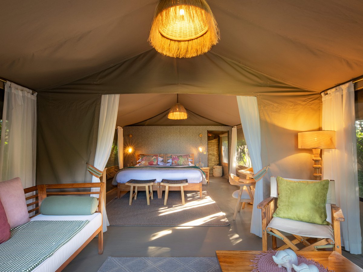 Rekero Camp image 1