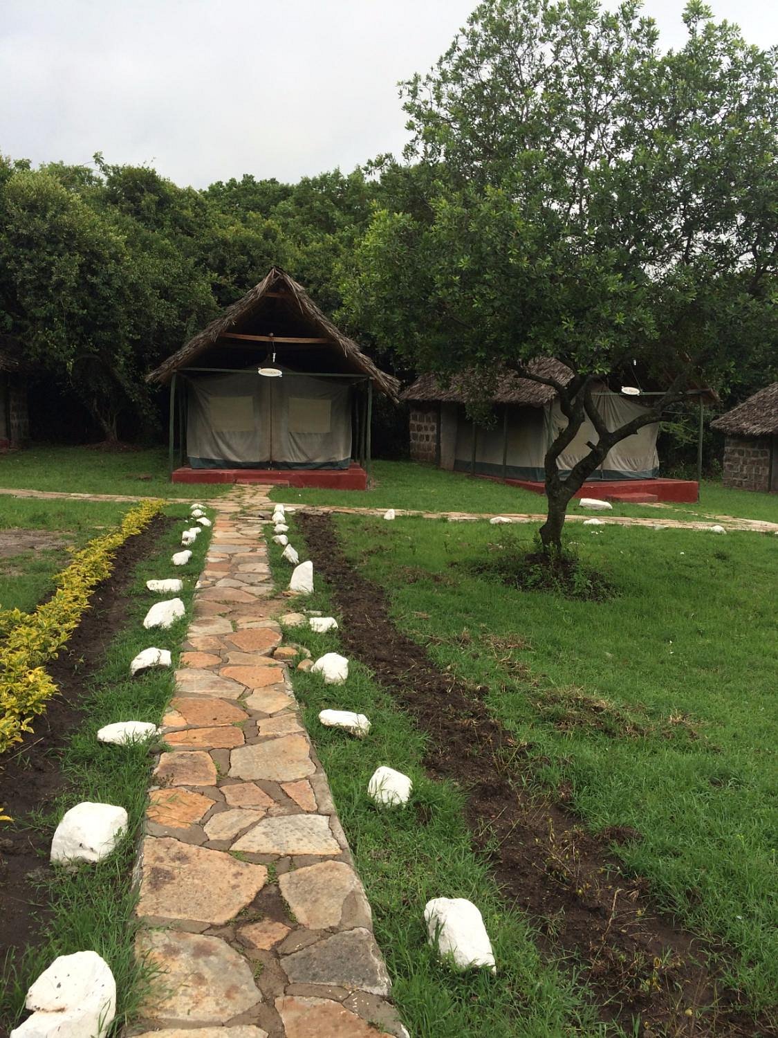 Rhino tourist camp image 2