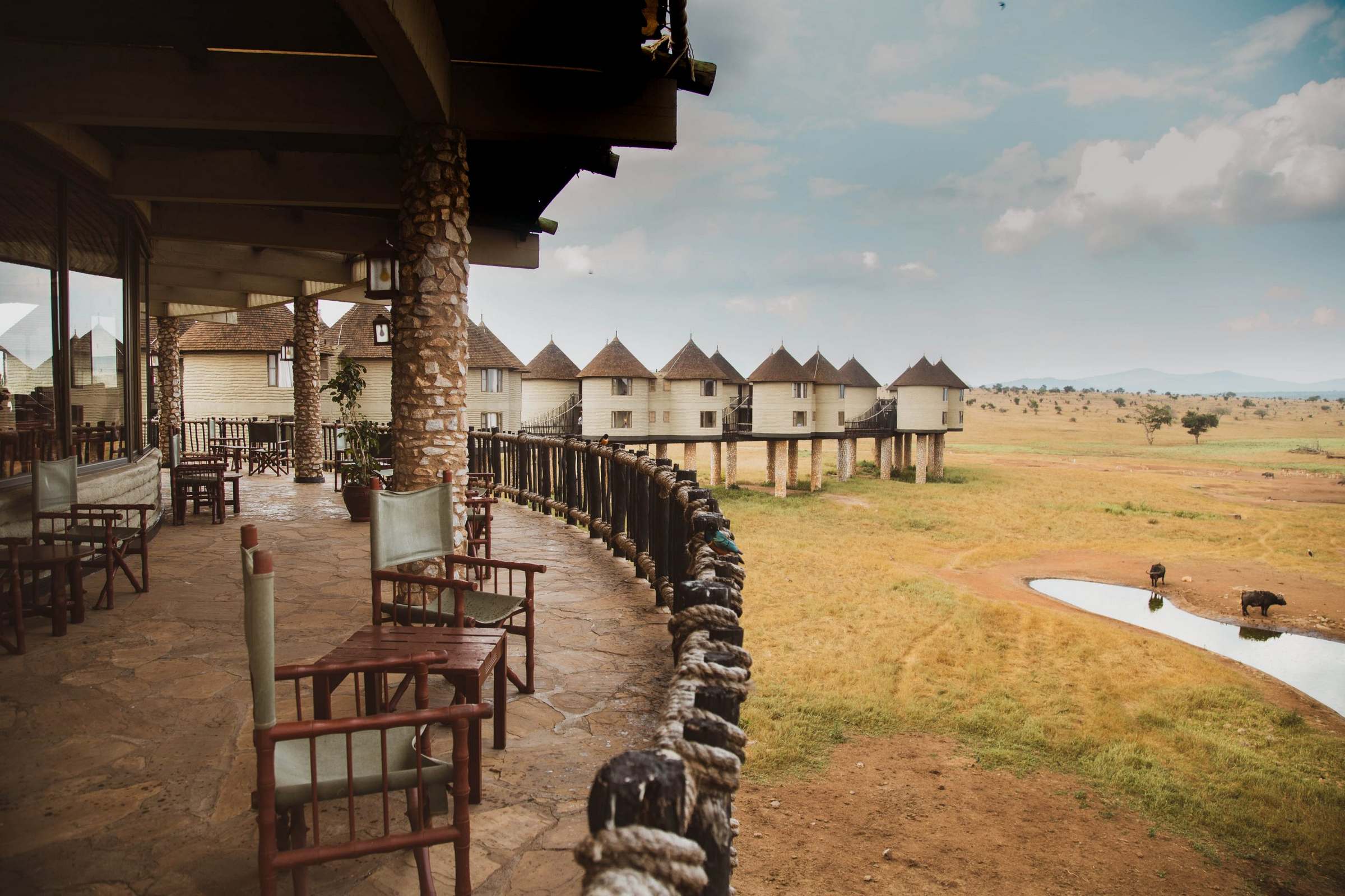 Salt Lick Safari Lodge image 2