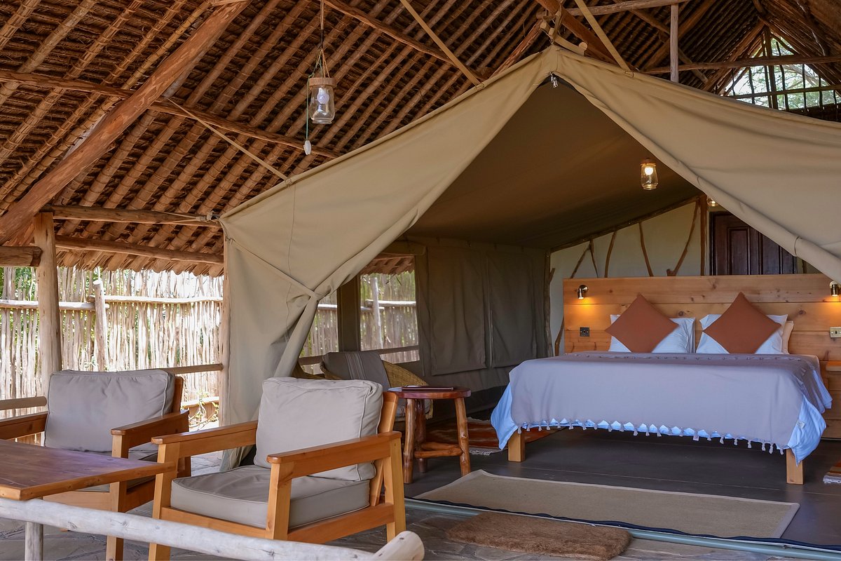 Satao Camp image 1