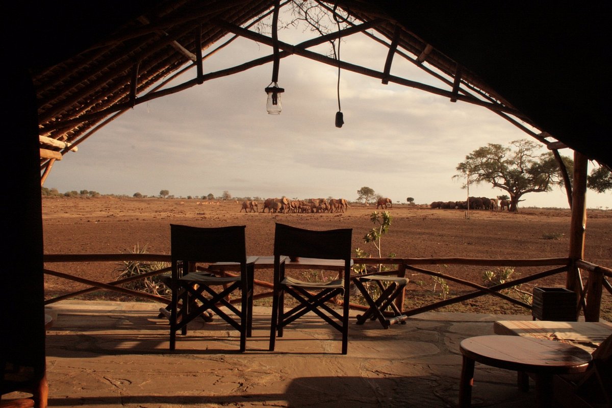 Satao Camp image 2