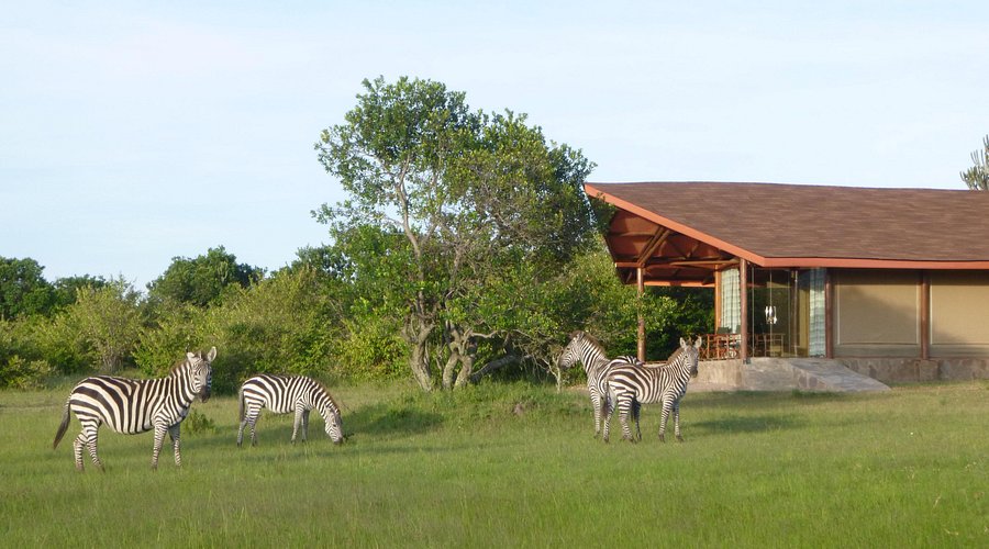 Simba Oryx Nature Camp image 2