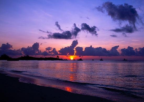 Turtle Bay Beach Club image 2