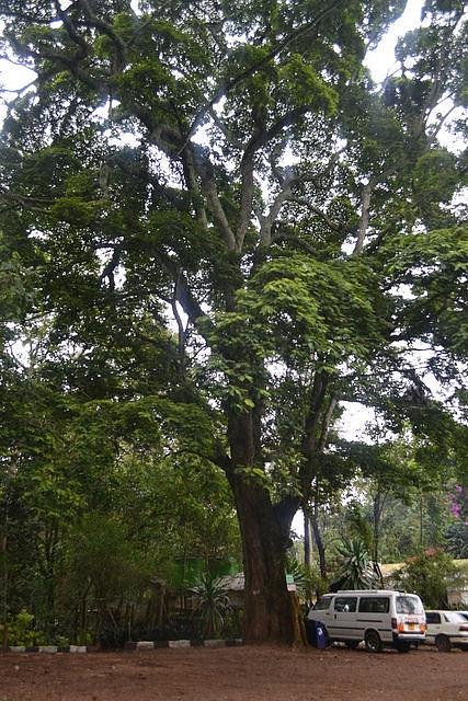 Wajee Nature park image 2