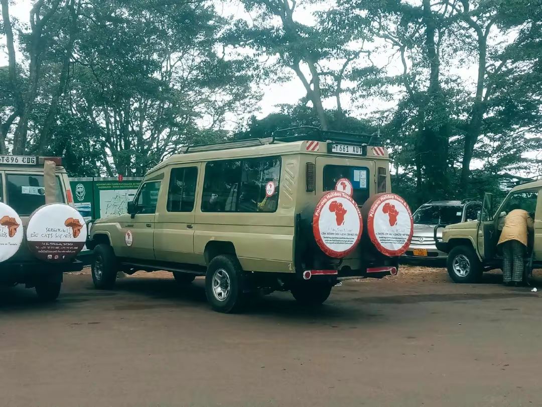 Ultimate Kenya & Tanzania Safari | Explore East Africa with Polmans Holiday Tours