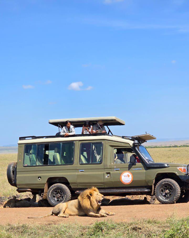 Polmans Holiday 4x4 Safari Land Cruiser Polmans Holiday Tours and Travel