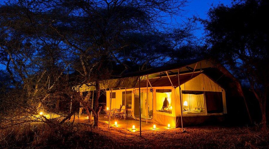 Porini Lion Camp image 2