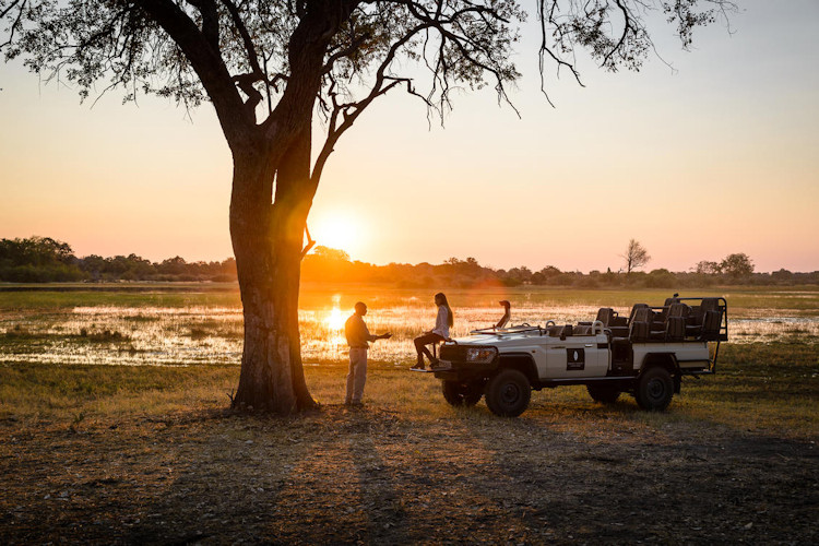 10 Days / 9–10 Nights – Full Botswana Explorer Safari (Premium Seller)