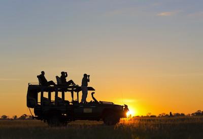 10 Days / 9–10 Nights – Full Botswana Explorer Safari (Premium Seller)
