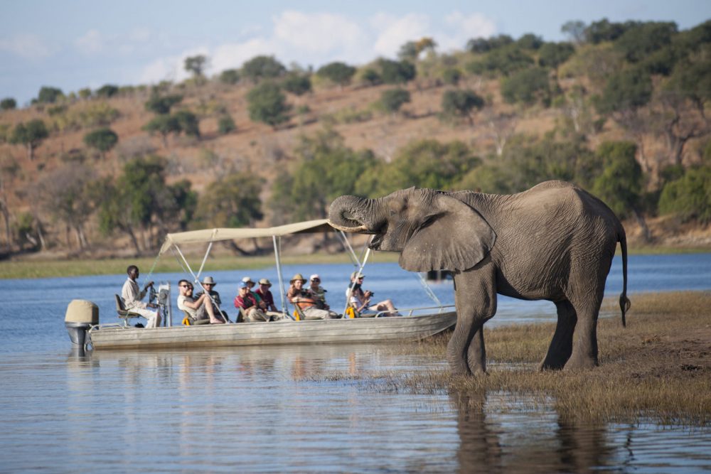 3 Days / 2 Nights – Chobe Short Safari (MOST POPULAR QUICK TRIP)