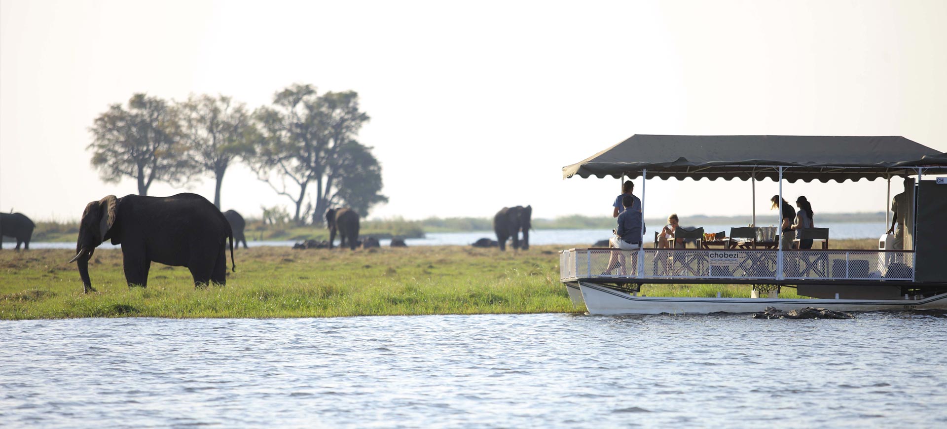 3 Days / 2 Nights – Chobe Short Safari (MOST POPULAR QUICK TRIP)