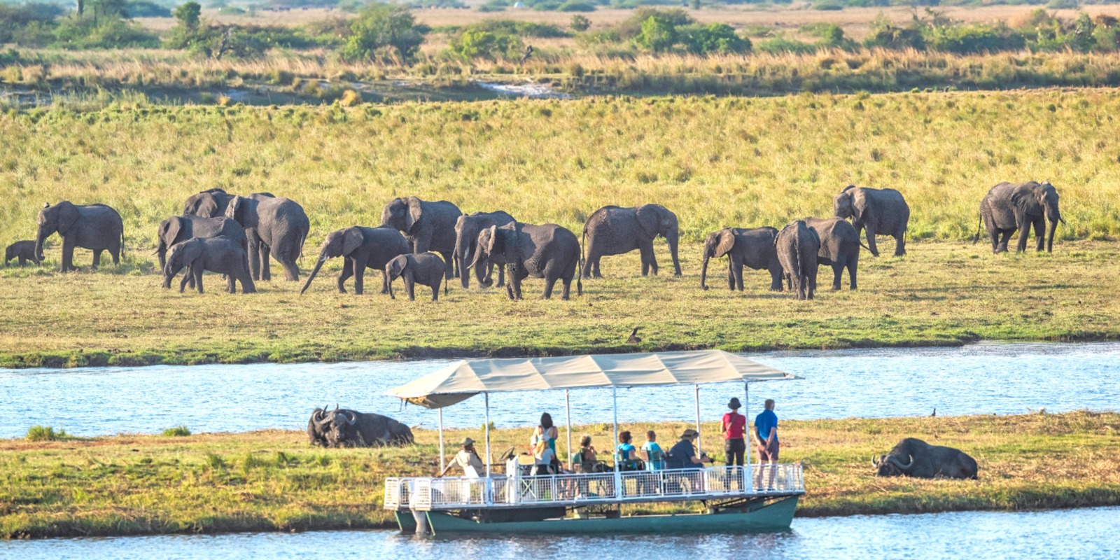 3 Days / 2 Nights – Chobe Short Safari (MOST POPULAR QUICK TRIP)