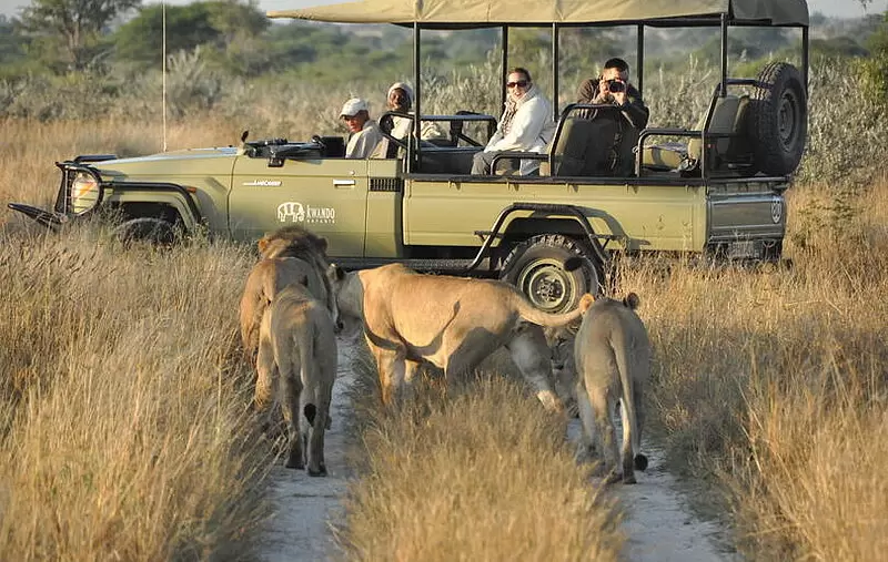 3 Days Etosha National Park Safari
