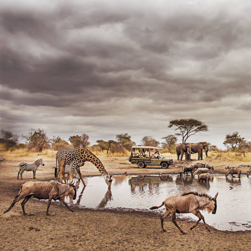 4 Days 3 Nights Tarangire & Ngorongoro Crater Tanzania Safari