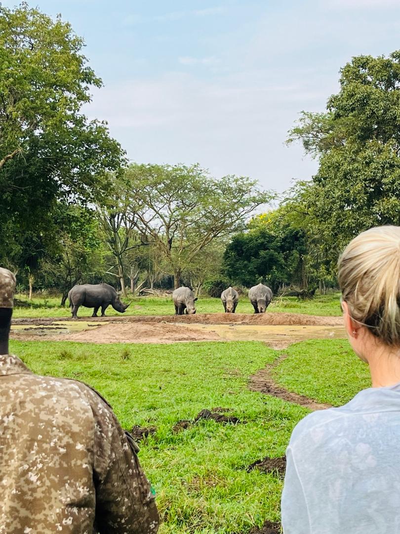 4 DAYS BWINDI AND QUEEN ELIZABETH WILDLIFE SAFARIS TO UGANDA