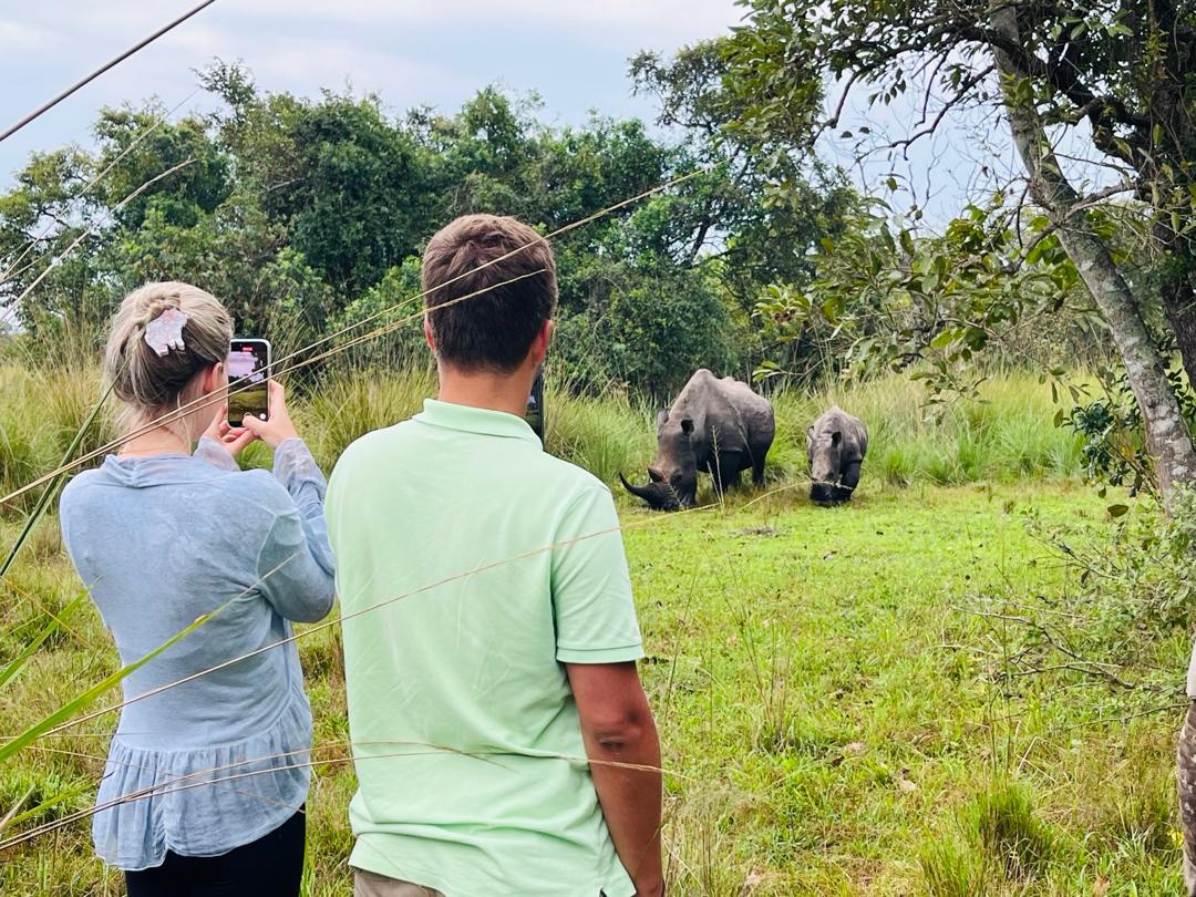 4 DAYS BWINDI AND QUEEN ELIZABETH WILDLIFE SAFARIS TO UGANDA