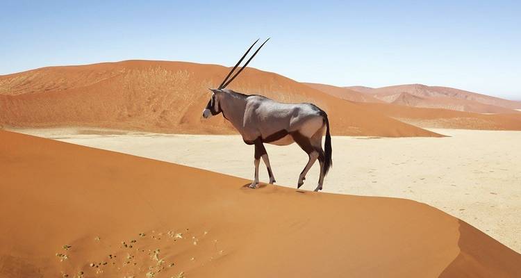 4 Days Sossusvlei + Swakopmund Tour