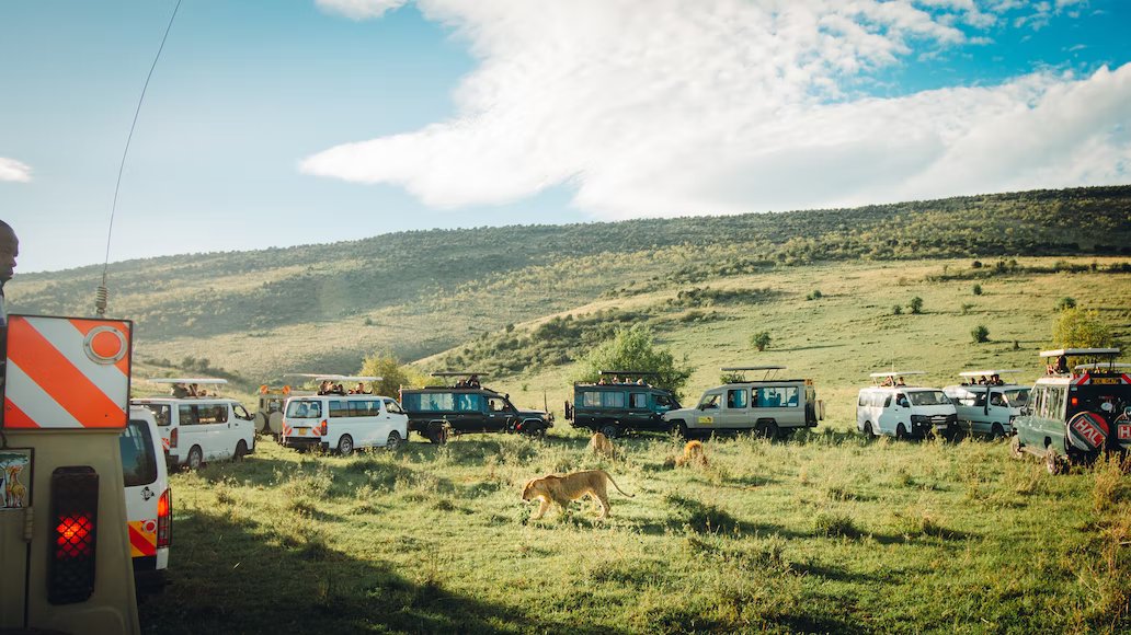 5 Days 4 Nights Amboseli – Lake Nakuru And Masai Mara Safari