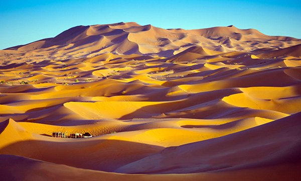 6 Days Sossusvlei + Etosha Safari