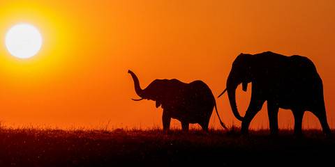 6 Days – Victoria Falls, Hwange & Chobe Safari (Mid-Range Classic)