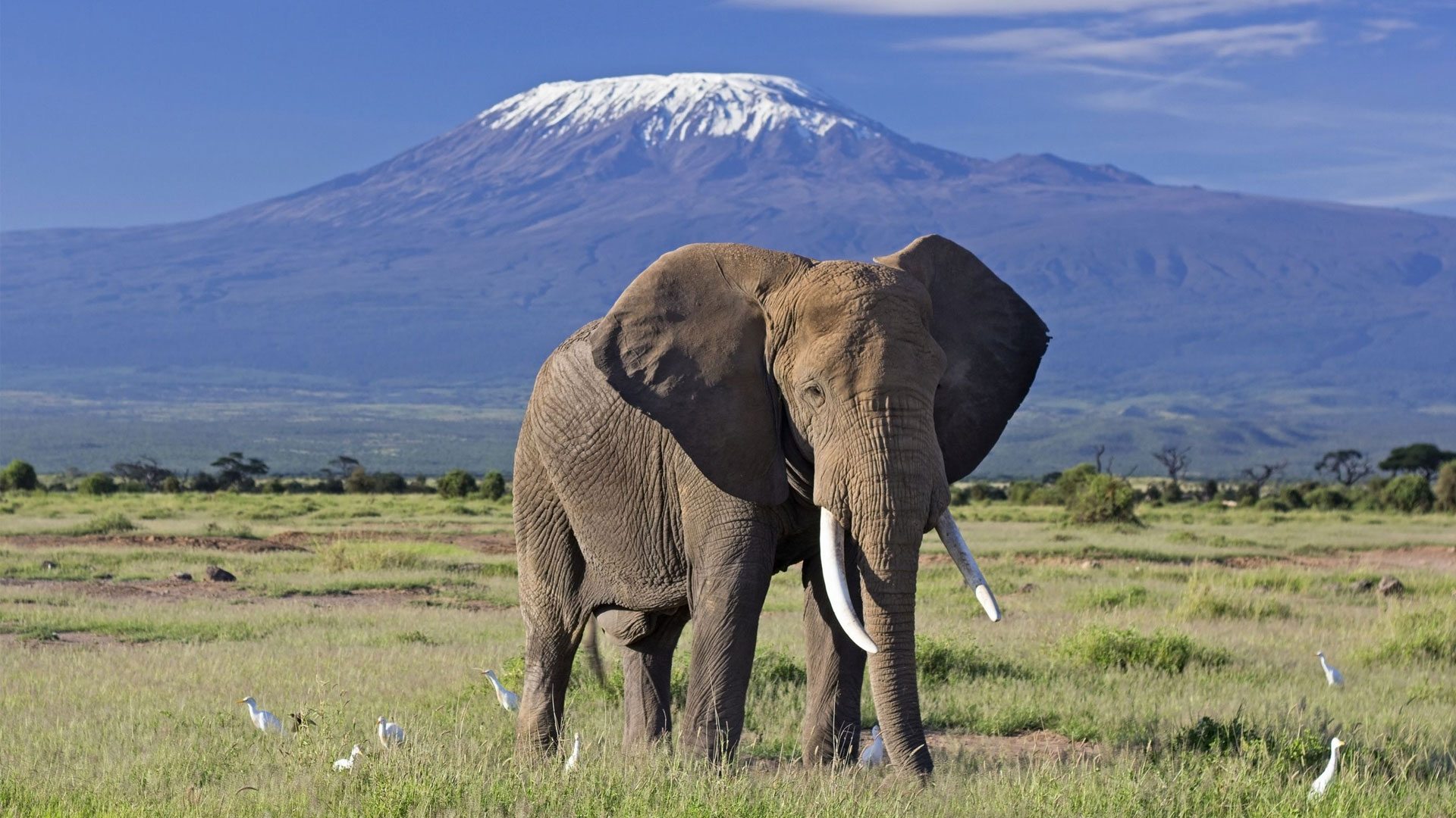 7 Days 6 Nights – Nairobi/Mombasa – Amboseli, Taita Hills & Diani Beach Holiday Package