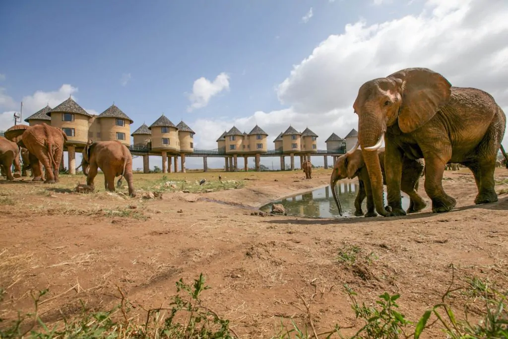 7 Days 6 Nights – Nairobi/Mombasa – Amboseli, Taita Hills & Diani Beach Holiday Package