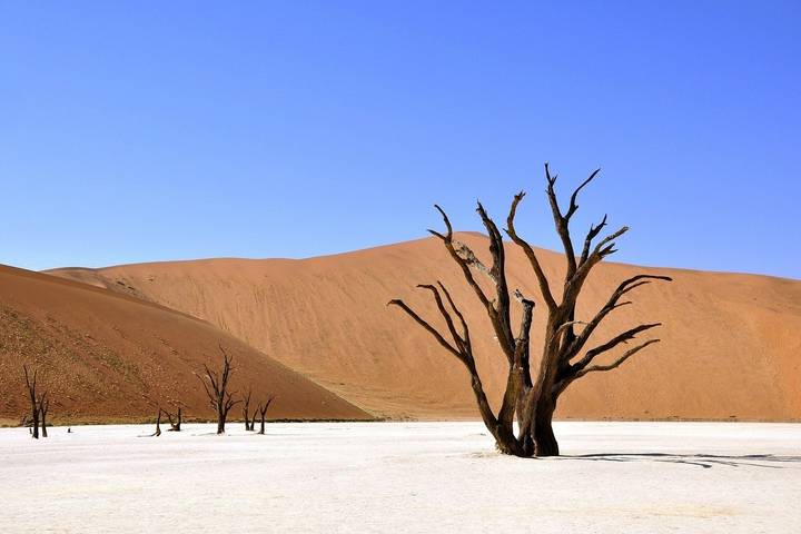 7 Days Namibia Highlights Safari (Best-Selling Package)