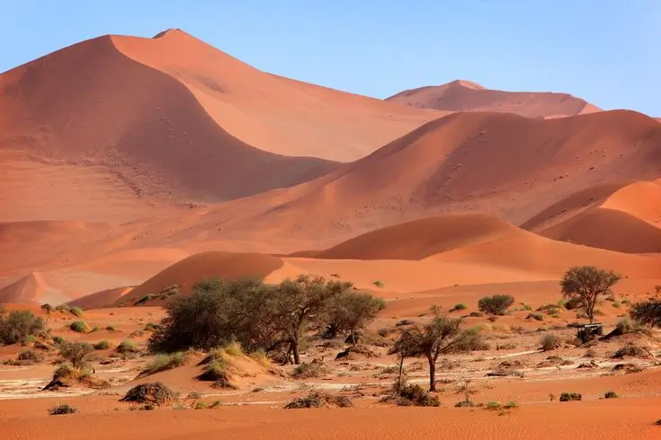 7 Days Namibia Highlights Safari (Best-Selling Package)