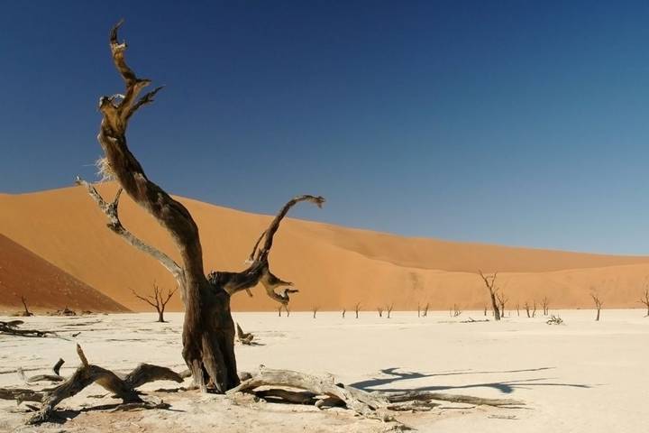 7 Days Namibia Highlights Safari (Best-Selling Package)
