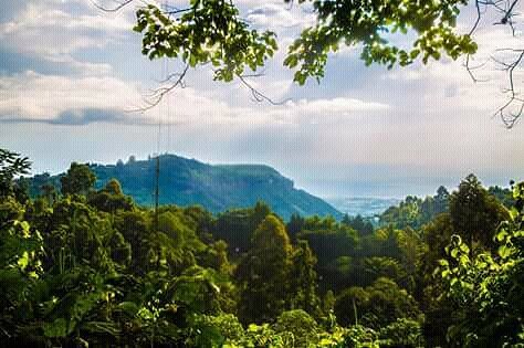 8 DAYS MOUNT ELGON ADVENTURE CLIMBING