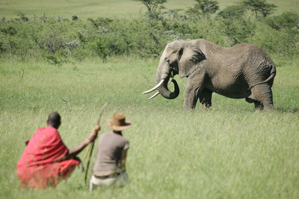 9 Days Kenya Safari & Diani Beach Vacation | Maasai Mara, Lake Naivasha & Nairobi Tour