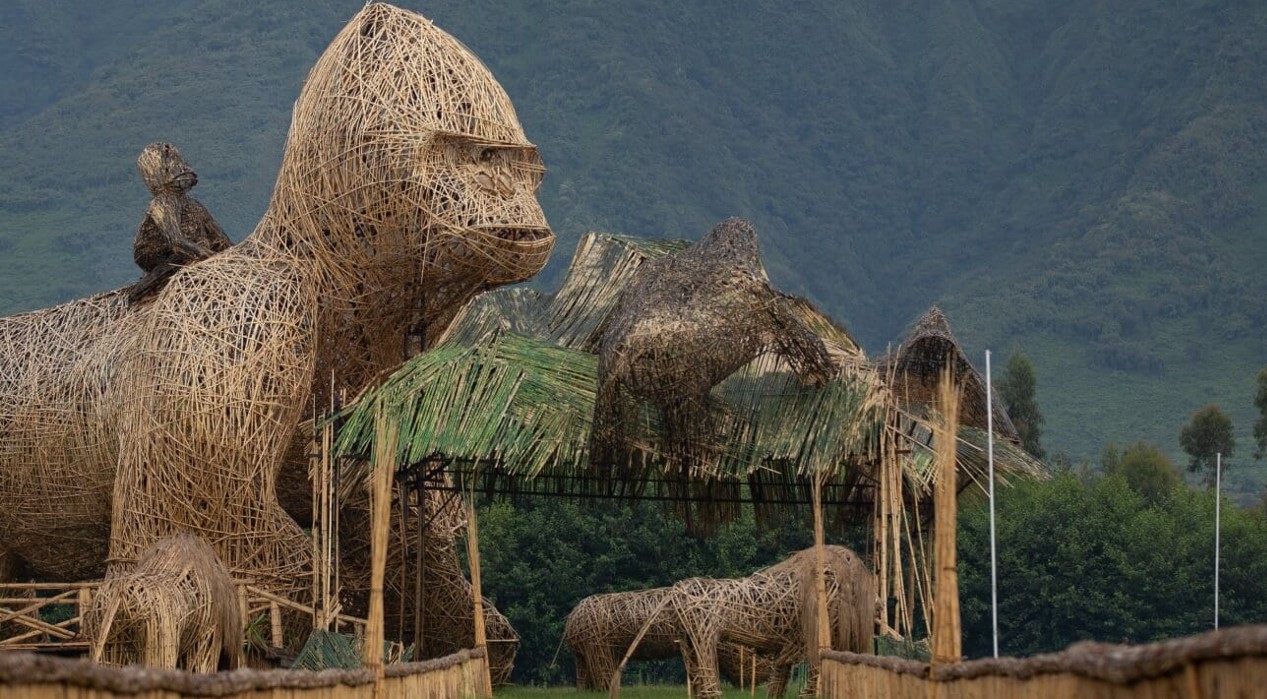 Day Gorilla Trekking Rwanda – Volcanoes National Park Gorilla Tour from Kigali