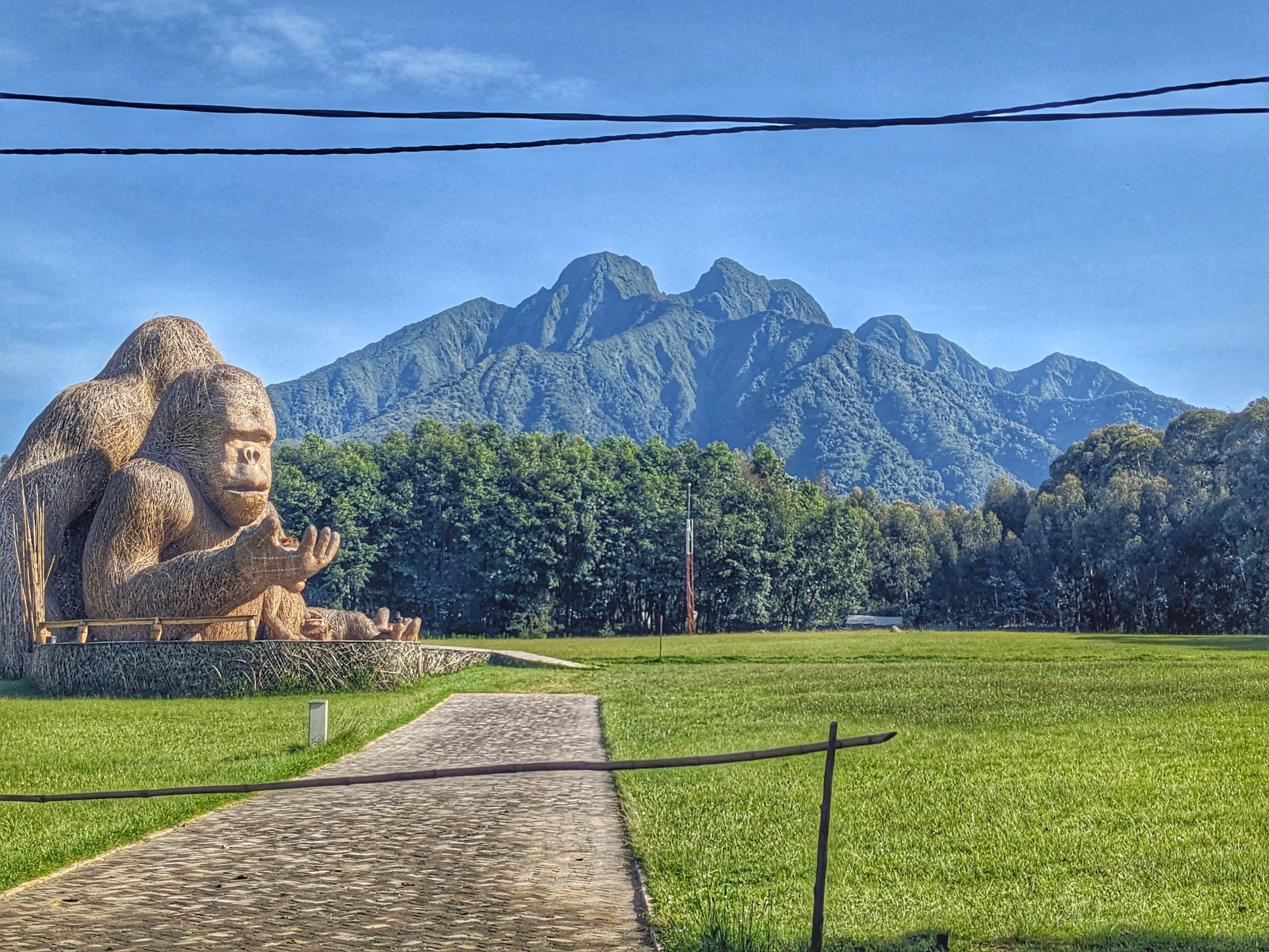 Day Gorilla Trekking Rwanda – Volcanoes National Park Gorilla Tour from Kigali