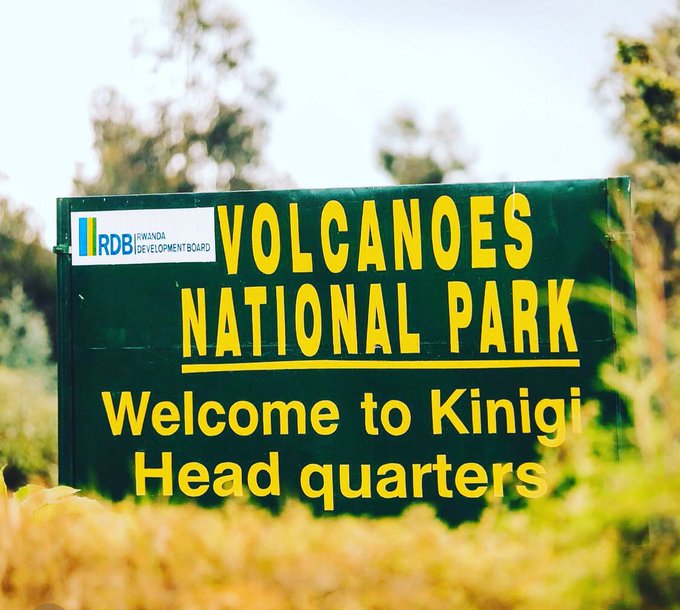Day Gorilla Trekking Rwanda – Volcanoes National Park Gorilla Tour from Kigali