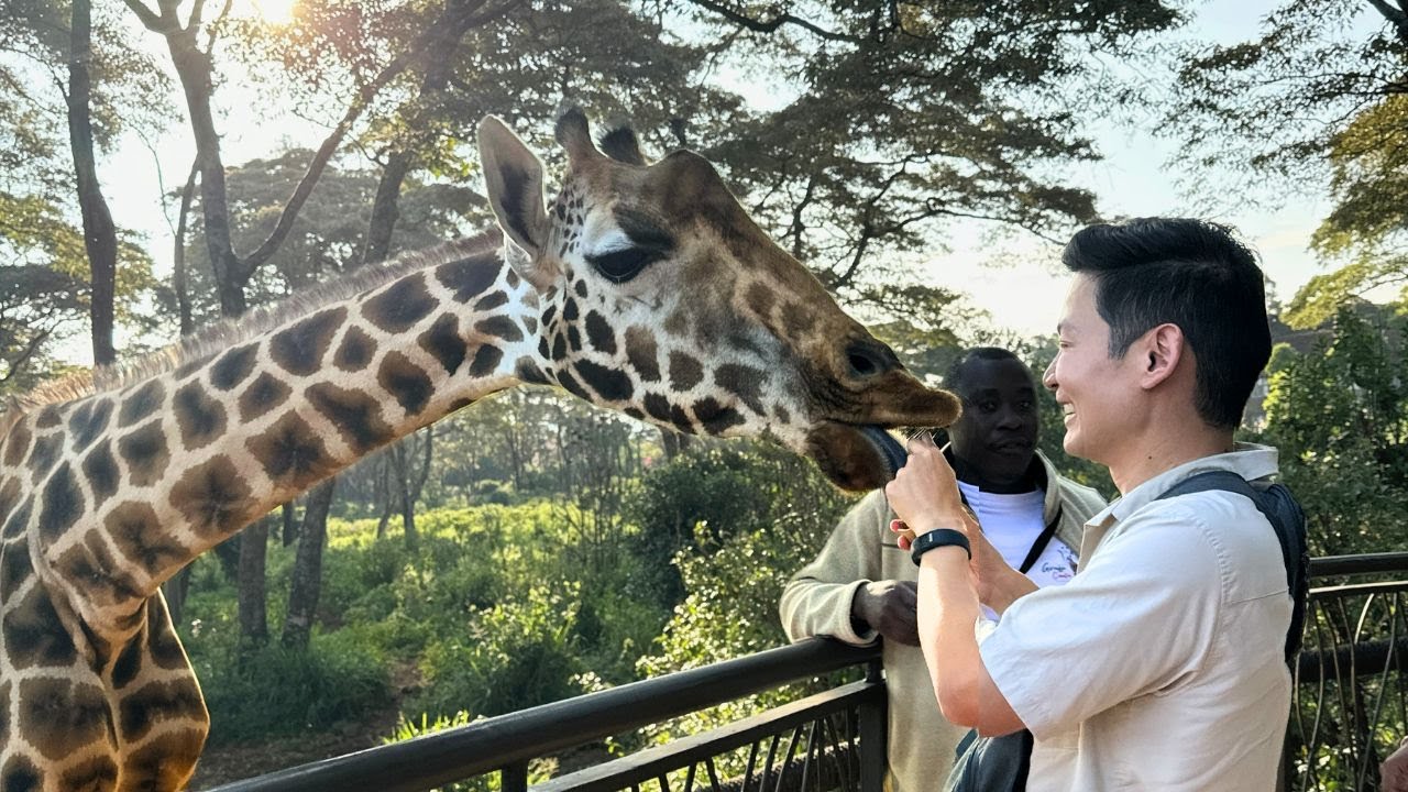Nairobi National Park, Elephant Orphanage & Giraffe Centre Tour
