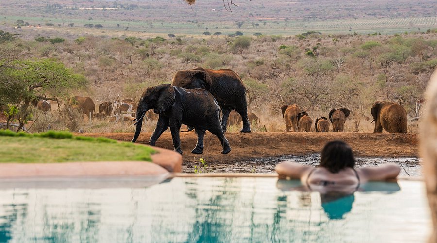 Ultimate 9 Day Kenya Safari from Mombasa to Maasai Mara – Beach & Wildlife Experience