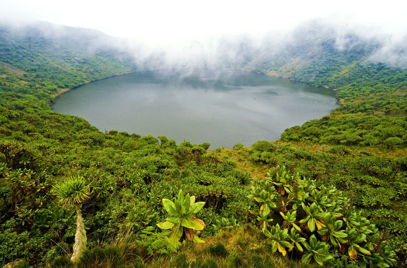 Volcanoes National Park Day Hike & Cultural Walk – Full Day Adventure from Kigali